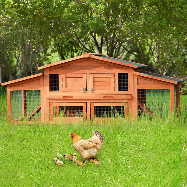 Wooden Chicken/Rabbit Coop 70-Inch Wood with 2 Run & Play Areas
